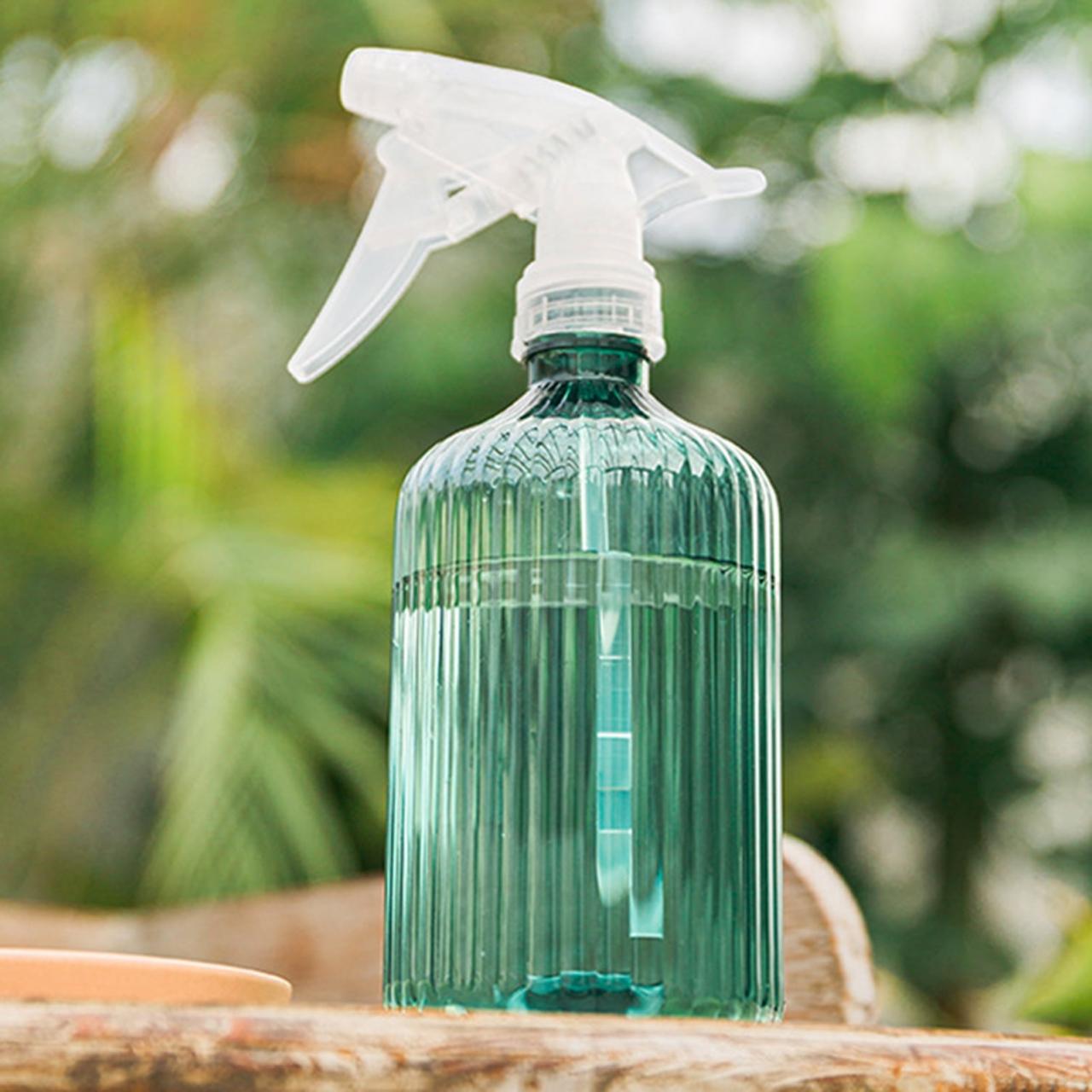 How to Use a Spray Bottle for Watering Air Plants