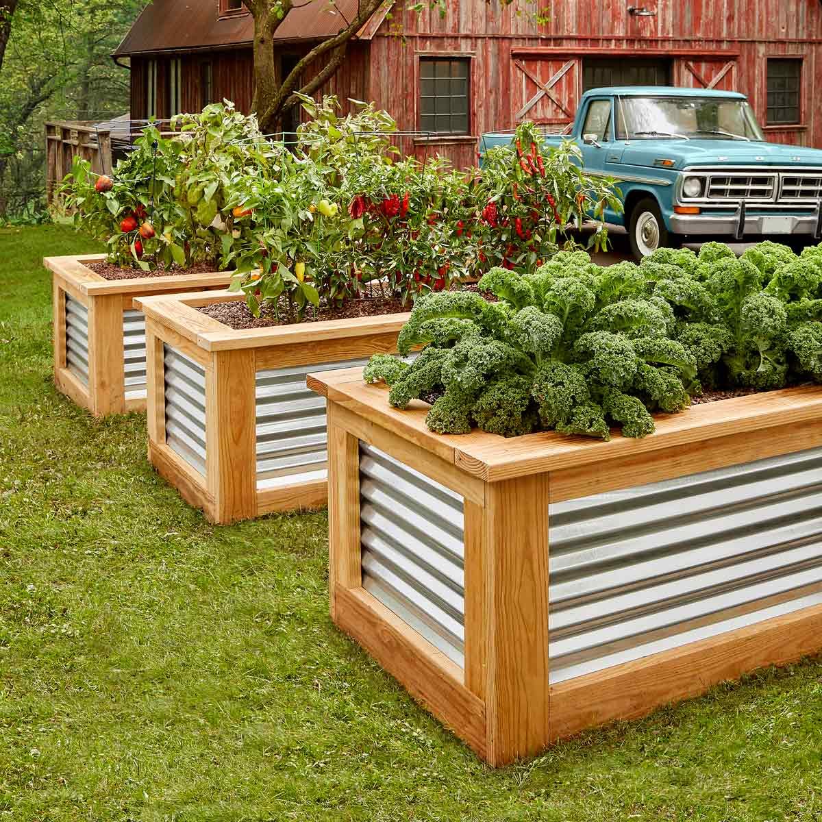 Why Raised Beds Arent Right for All Plants