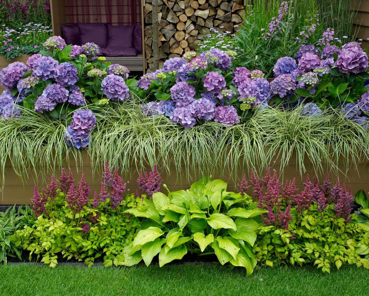 Hydrangea Companion Plants for All Soil Types